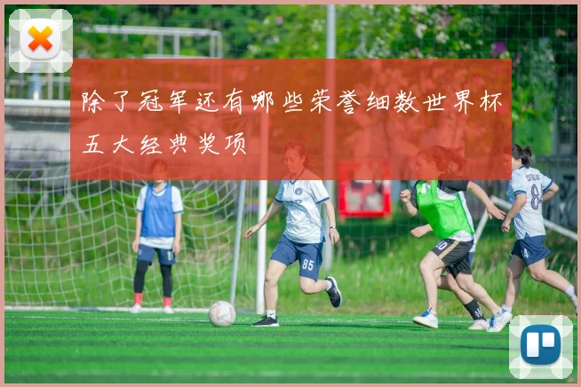 除了冠军还有哪些荣誉细数世界杯五大经典奖项