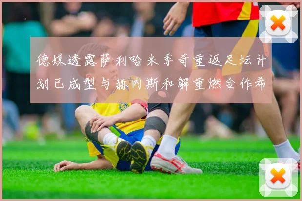 德媒透露萨利哈米季奇重返足坛计划已成型与赫内斯和解重燃合作希望